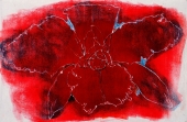 orkidea1