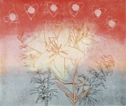 UUSITALO_2007_019